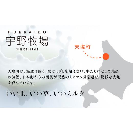 ふるさと納税 北海道 天塩町  最高峰の牛乳 2本(900ml×2本) お楽しみ おまけ付き