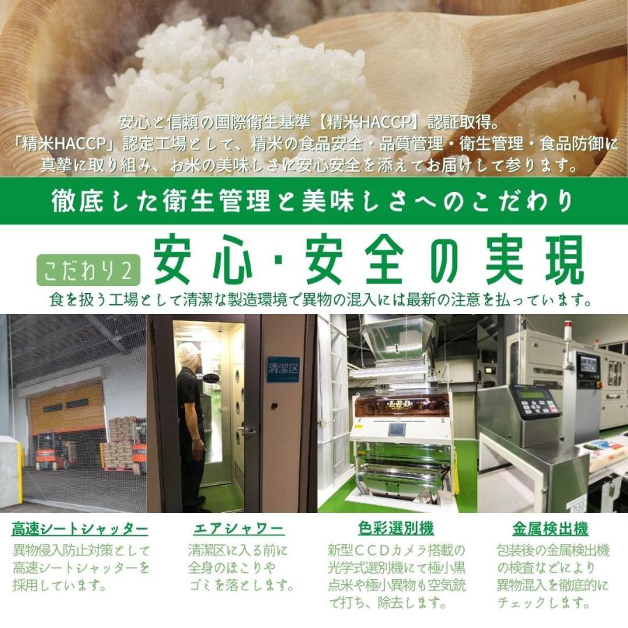 新米 米 お米 10kg コシヒカリ こしひかり 新潟産 5kg×2袋 本州送料無料 令和5年産