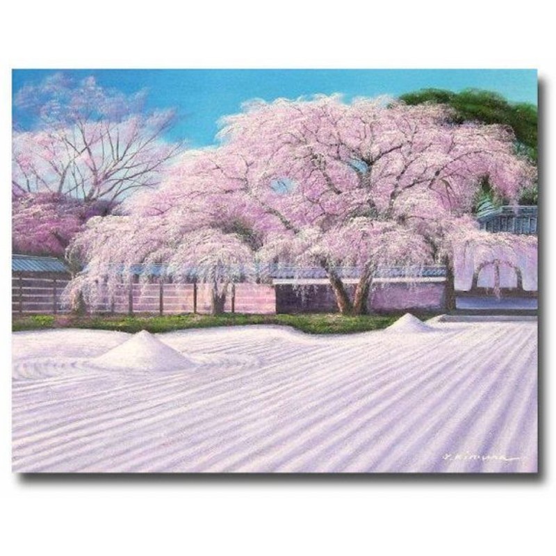 安い特販  満開の桜） 油絵　F4-080711　風景（春 (白) 額付 Bw 絵画/タペストリ