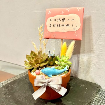 台中多肉組盆 多肉植物 日式枯山水 放鬆 海豚 療癒盆栽 海洋禮物