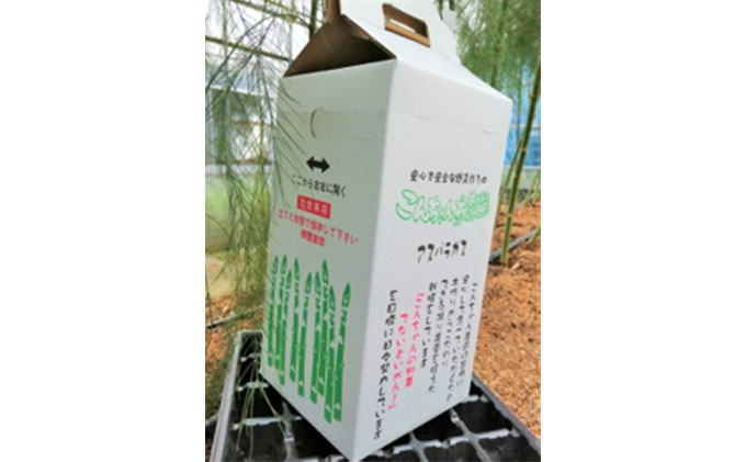 香川県産こんちゃん農園直送！減農薬アスパラ（ビオレッタ、グリーン）1kg