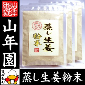 蒸し生姜 粉末 45g×3袋セット 熊本県産 蒸ししょうが 送料無料 お茶 お歳暮 2023 ギ