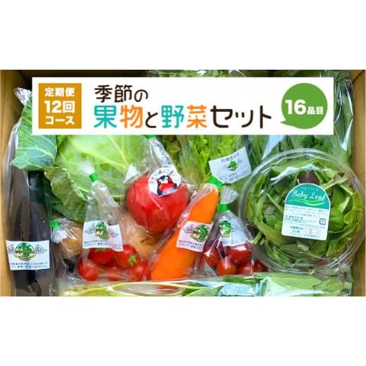 ふるさと納税 熊本県 八代市  季節の果物と野菜セット 16品目