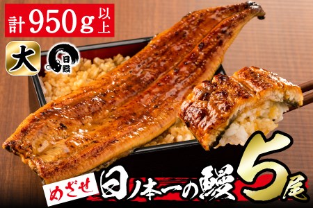 日ノ本一の鰻の蒲焼き＜大＞5尾セット(計950g以上) d2-004