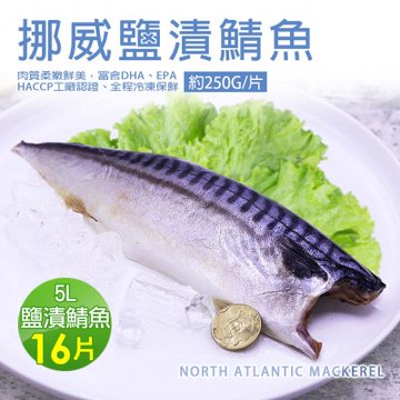 築地一番鮮-5L大挪威薄鹽鯖魚16片免運組(250g/片)