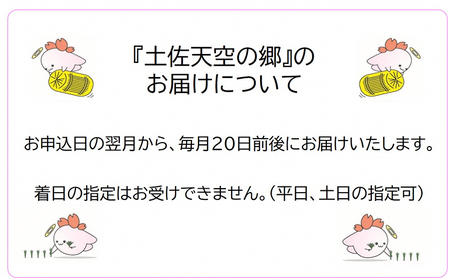 ★令和5年産★2010年・2016年 お米日本一コンテスト inしずおか 特別最高金賞受賞土佐天空の郷　にこまる　5kg　毎月お届け全3回