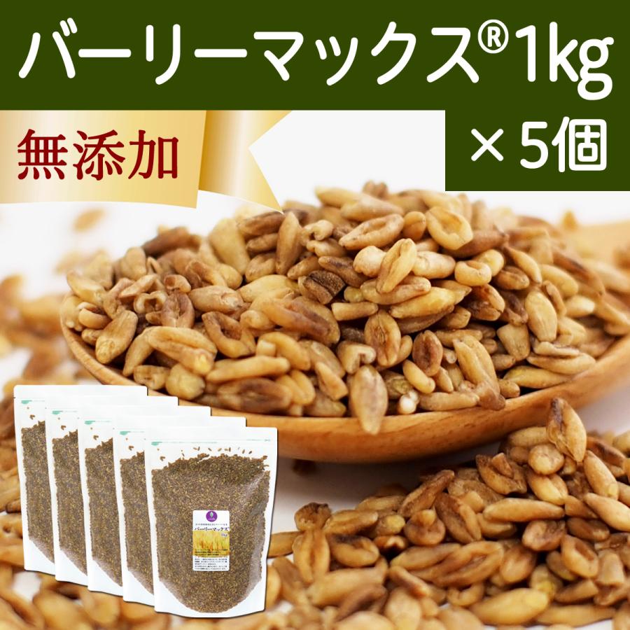 スーパー大麦 バーリーマックス 1kg×5個 食物繊維 ごはんに