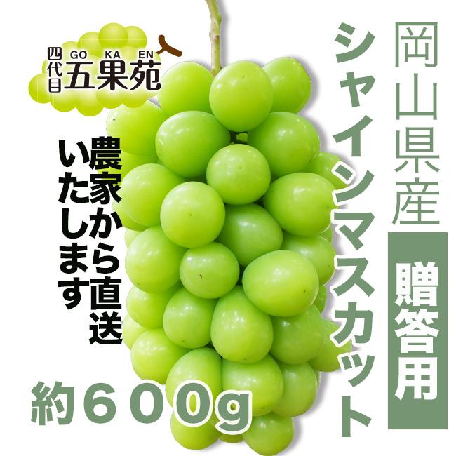 岡山県産　越冬ぶどう　シャインマスカット  約600g