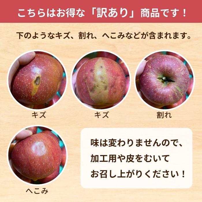 ピンクレディ 5kg 箱 訳あり 幻の林檎 減農薬 希少 りんご 長野 安曇野 信州 産地直送 酸っぱい 「ピンクレディ5キロ箱訳あり品」