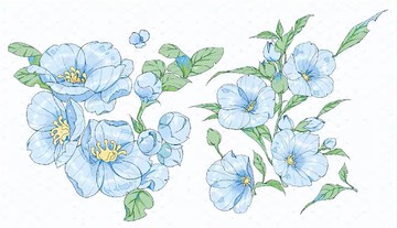 藍亞麻花 PET 紙膠帶 貝殼光