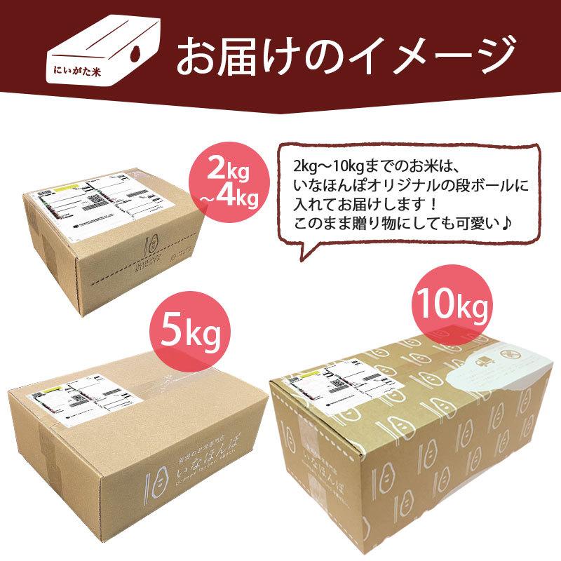 翌日配送 新米 令和5年産 5kg 送料無料 無洗米 吟精 新潟産コシヒカリ ギフト 内祝い