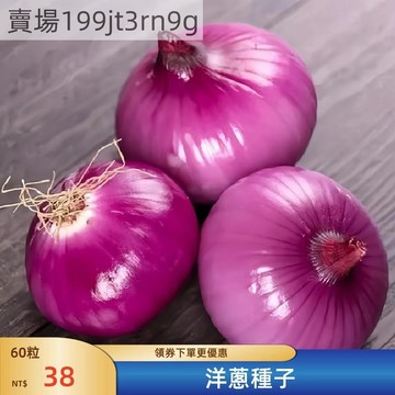 現貨🧅【洋蔥種子】（500粒）洋蔥種子 白皮洋蔥種子 黃皮洋蔥種子 紫皮洋蔥種子 四季蔬菜種子 田園庭院陽台盆栽種植種籽