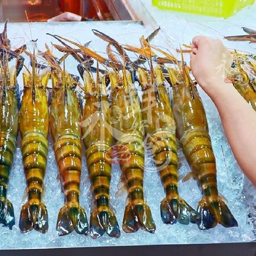 【永鮮好食】淡水長臂大蝦/大公蝦/手臂蝦(1隻約500g/包)斯里蘭卡 海鮮 生鮮