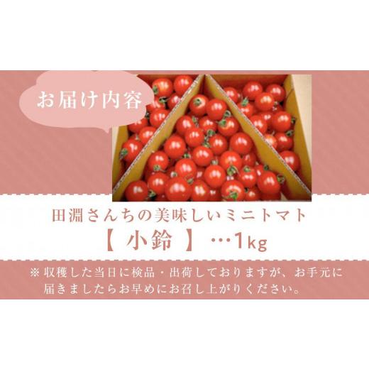 ふるさと納税 鹿児島県 南大隅町 田淵さんちの美味しいミニトマト小鈴（1.0kg）