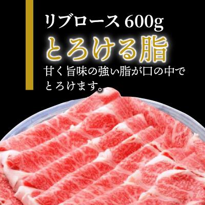 ふるさと納税 国東市 おおいた和牛リブローススライス600g_1085R