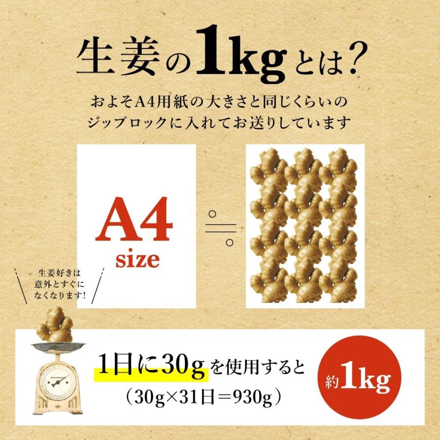 無農薬 生姜 100g 熊本県産 国産 送料無料 生姜 しょうが ショウガ 根生姜 佃煮 薬味 きざみ 生姜 生姜焼き 唐揚げ