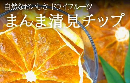 ドライフルーツ きよみチップ 100g 20g × 5袋 和歌山県産 果物使用 自社製造 