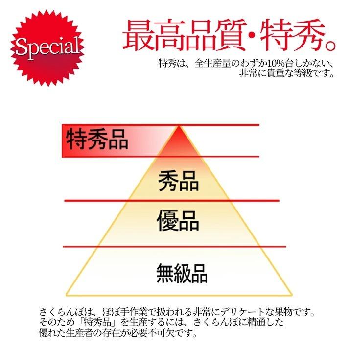 さくらんぼ 佐藤錦 Lサイズ 1kg（500g×2） バラ詰め 山形 特秀品 2024 山形県産 サクランボ 贈答 送料無料