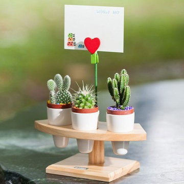 絕版品出清 7折 療癒植物容器多肉精靈系列盆栽手捲架 1吋 3孔 Dy607 倆寶貝精品館 Line購物