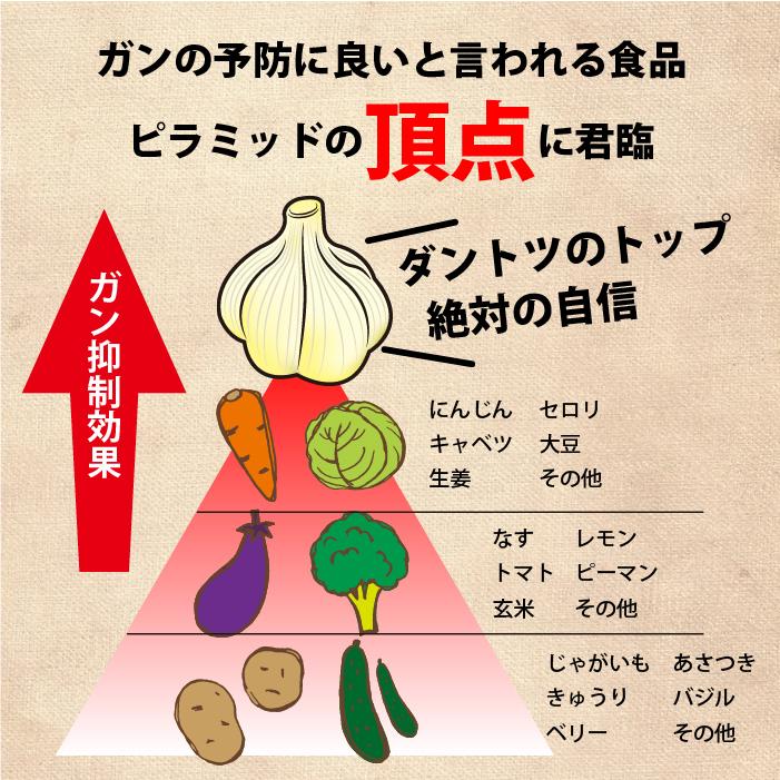 バラ にんにく 青森 500g バラ 送料無料 青森県産にんにく 500g バラニンニク 国産