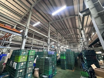 專賣*近家樂福可三照丁建廠房~每坪20萬~出價可談｜彰化縣彰化市福馬街