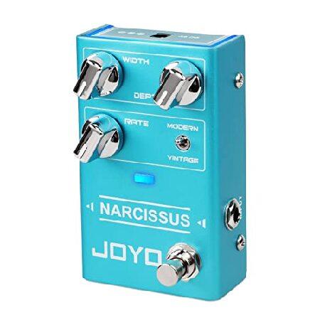 JOYO Chorus Pedal Multiple Chorus Effects Semi-Analog Circuit From Surreal Deep Tone to Fierce and Vintage Distortion for Electric Guitar (NARCISSUS R