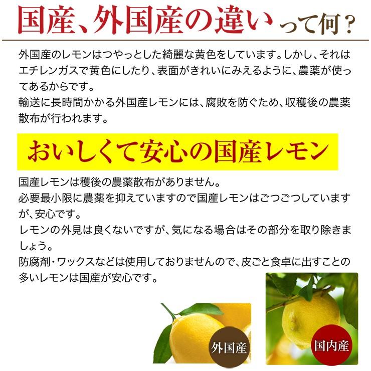 有田産レモン 訳あり 国産 減農薬 レモン 2.0kg 産地直送 和歌山県 2キロ 家庭用 自宅用 箱 買い れもん 訳アリ