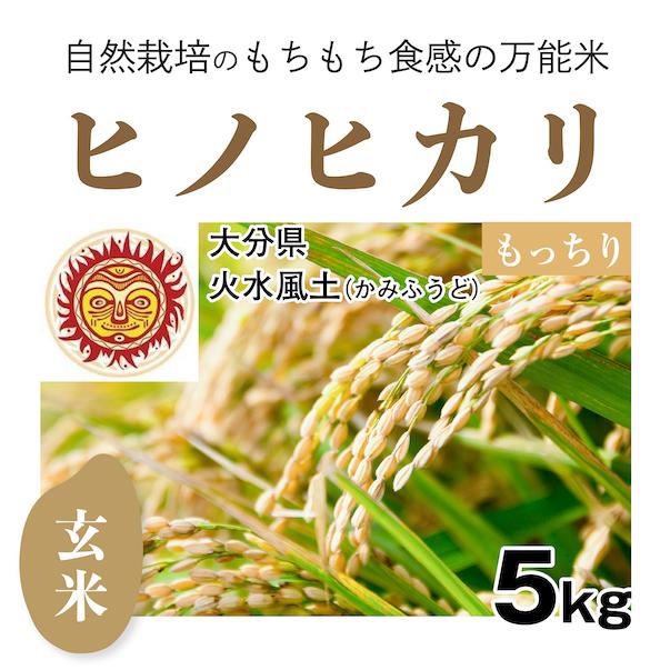 玄米5kg「自然栽培ヒノヒカリ」(大分県)火水風土（かみふうど）　令和5年産