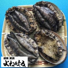 若狭湾の天然活黒アワビ　1kg