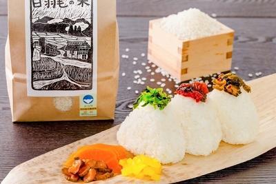 ≪令和5年産≫農家直送！魚沼産コシヒカリ特別栽培「白羽毛の米」精米(10kg×1袋)×3回 30kg