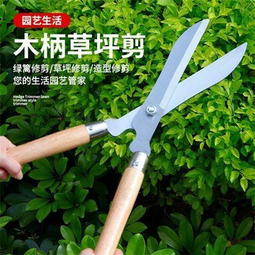 💥免運💥臺灣出貨🚚園藝剪刀加長大修枝剪花草綠化家用工具綠籬園林修剪樹鋒利枝剪