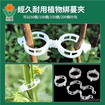 【今天買明天到】  瓜果固定扣 植物固定扣 水果 瓜類 藤蔓 快速卡扣 園藝用品 植物枝條固定 藤蔓固定夾 枝條夾 園藝