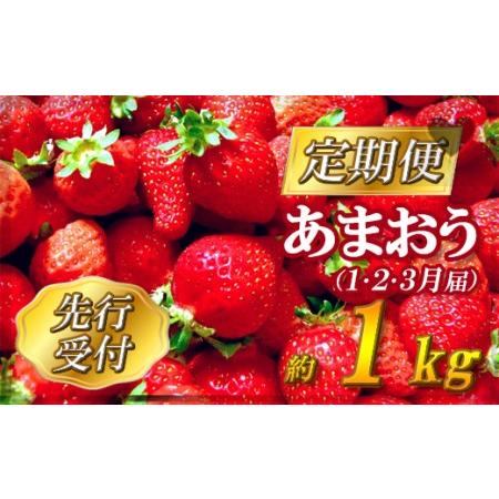 ふるさと納税 2G3福岡県産「あまおう」定期便3回お届け (1月・2月・3月) 福岡県東峰村