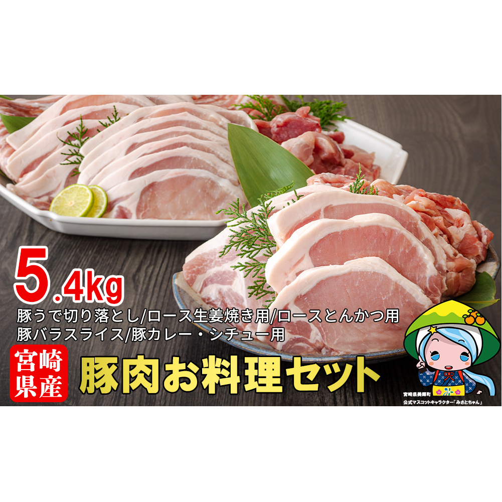 宮崎県産豚肉お料理セット5.4kg