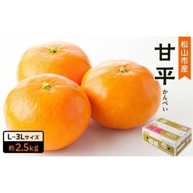 ふるさと納税 愛媛県 松山市 松山市産　甘平 秀品 L〜3Lサイズ （約2.5kg）