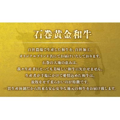 ふるさと納税 石巻市 うしちゃんファームの石巻黄金和牛 A5サーロインステーキ約250g×2p