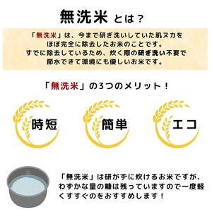 栽培期間中 農薬・化学肥料不使用 特別栽培米ササニシキ5kg×2