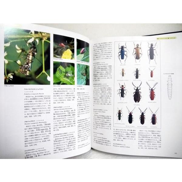 『世界文化生物大図鑑 昆虫II 改訂新版』