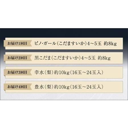 ふるさと納税 先行予約  旬 の フルーツ 定期便 満足コース JA 幸水 豊水 こだまスイカ 黒こだま ピノ・ガール 果.. 茨城県筑西市