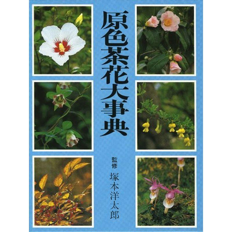 原色茶花大事典