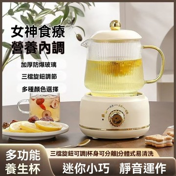 【台灣出貨】養生壺辦公室小型燒水壺 家用花茶烹煮 玻璃煮茶器 多功能燉煮 快煮養生壺 養生杯 新年禮物 電燉杯 110V