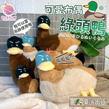 【台灣店家⭐️免運】生氣綠頭鴨抱枕 可愛鴨子玩偶 安撫娃娃 鴨子擺飾 綠頭鴨娃娃 安撫娃娃 背包吊飾【HL102】