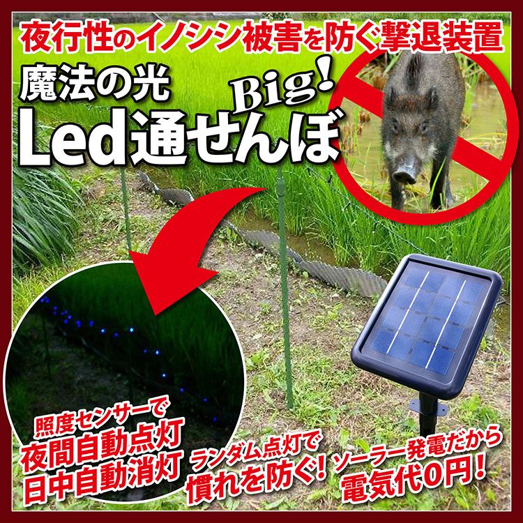 イノシシ撃退装置 Led通せんぼ Big!照度センサー 夜間自動点灯 日中自動消灯 ランダム点灯 ソーラー発電