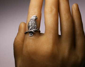 塞內加爾鸚鵡戒指