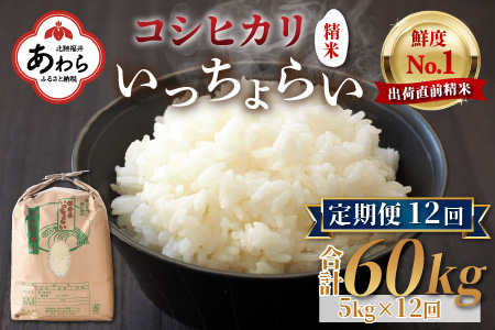 《定期便12回》いっちょらい 精米 5kg（計60kg）／ 福井県産 ブランド米 コシヒカリ ご飯 白米 新鮮 大賞 受賞 新米