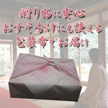 生桜えび100g、生しらす200gセット　送料込　由比港水揚げ 駿河湾桜えび 静岡県産を安心して