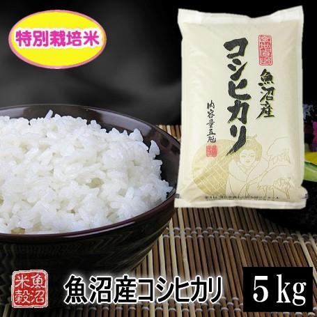 新米 米 5kg 魚沼産コシヒカリ特別栽培米 令和5年産 白米 送料無料（北海道・九州・沖縄は除く）離島は発送不可