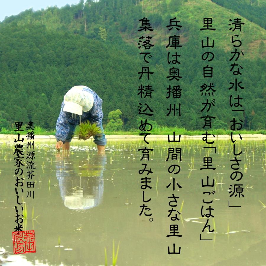 新米 お米 10kg 送料無料 選べるオーダー精米 令和5年産 奥播州源流芥田川産こしひかり芥田川 農家直送便 米農家の低温精米 厳選米 5分づき 7分づき 白米