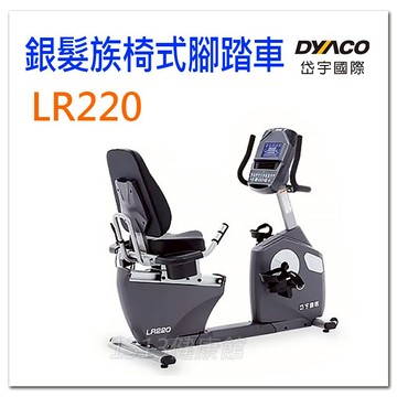 岱宇國際 LR220 銀髮族家用椅式腳 健康踏步系列. 長者運動.在家能輕鬆運動【1313健康館】年長者/老人在家運動