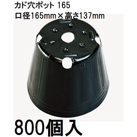 (徳用800個入) ポリポット ポリ鉢 カド穴ポット (加工品) 16.5cm カド穴黒丸 165 カド穴4 底穴1 容積2000cc 中部農材